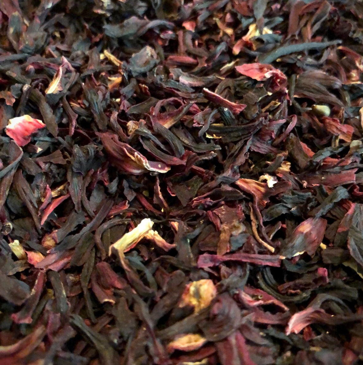 Hibiscus