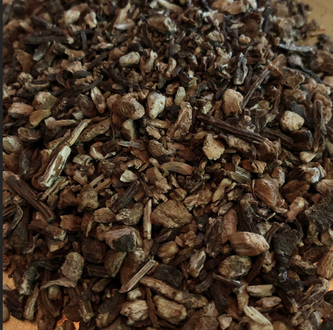 Angelica Root