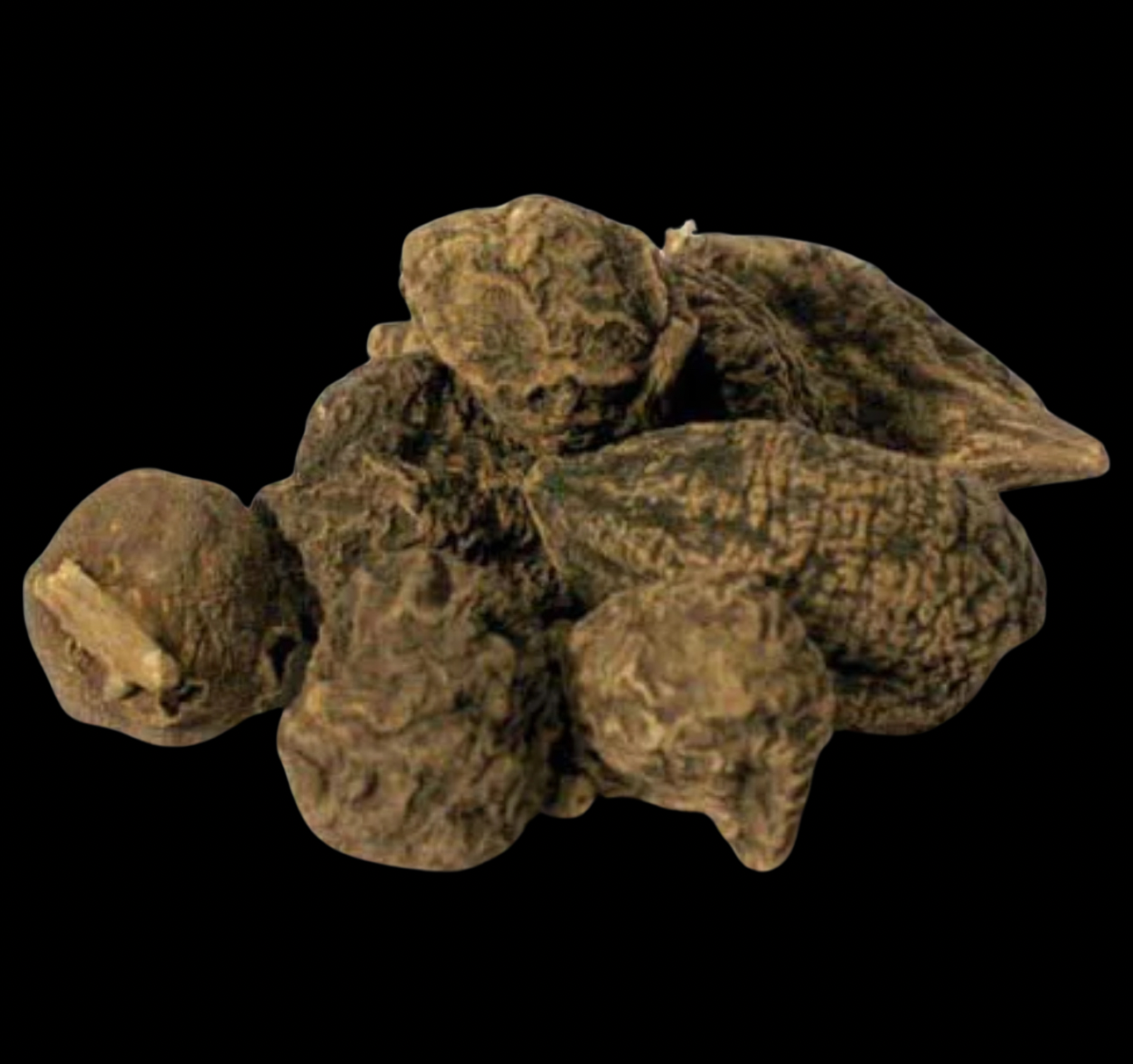 High John the Conqueror Root (whole)